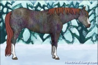 Horse Color:Midnight Liver Chestnut Ice Pearl