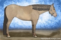 Horse Color:Sable Cream Champagne 