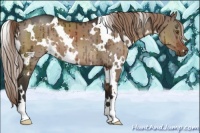 Horse Color:White Spotted Liver Red Dun Brindle 
