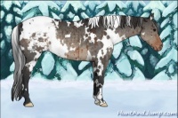 Horse Color:White Spotted Brown Dun Varnish Brindle