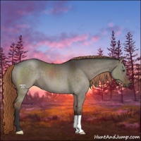 Horse Color:Liver Red Dun Brindle 