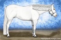 Horse Color:Palomino Ice Tobiano Near Leopard Rabicano 