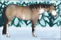 Horse Color:Brown Dun Sabino Rabicano 