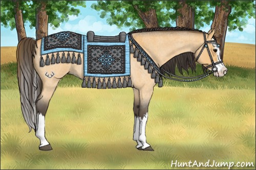 Horse Color:Buckskin Roan Splash