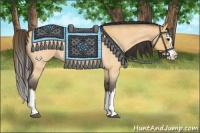 Horse Color:Buckskin Roan Splash 