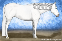 Horse Color:Gray Cremello Splash 