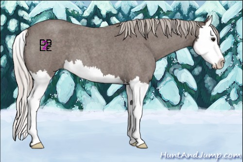 Horse Color:Silver Blue Roan Splash