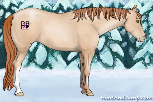 Horse Color:Classic Champagne Pearl 