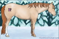Horse Color:Classic Champagne Pearl 