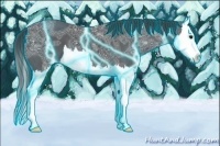 Horse Color:Thunderstruck Black Ice Splash 