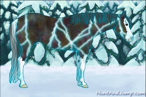 Horse Color:Thunderstruck Midnight Bay Ice Sabino Splash 