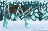 Horse Color:Thunderstruck Midnight Bay Ice Sabino Splash 