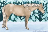 Horse Color:Chocolate Palomino Pearl 