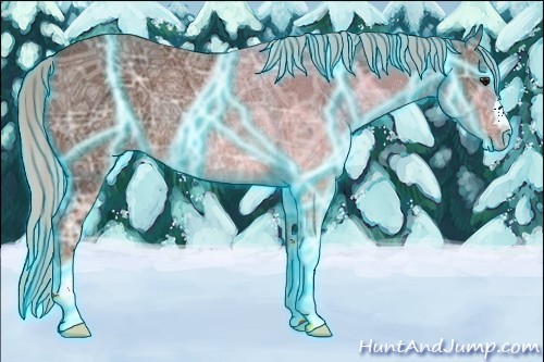 Horse Color:Thunderstruck Silver Bay Ice Rabicano