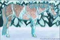 Horse Color:Thunderstruck Silver Bay Ice Rabicano