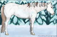 Horse Color:Chestnut Ice Sabino 