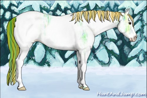Horse Color:Painted Watercolor White Spotted Black Ice 