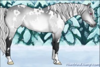 Horse Color:White Spotted Silver Bay Chinchilla 