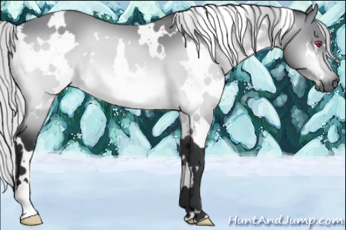 Horse Color:White Spotted Silver Bay Chinchilla 