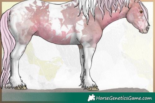 Horse Color:Watercolor Silver Bay Tobiano Rabicano 