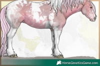 Horse Color:Watercolor Silver Bay Tobiano Rabicano 