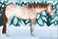 Horse Color:Red Onyx Ice 