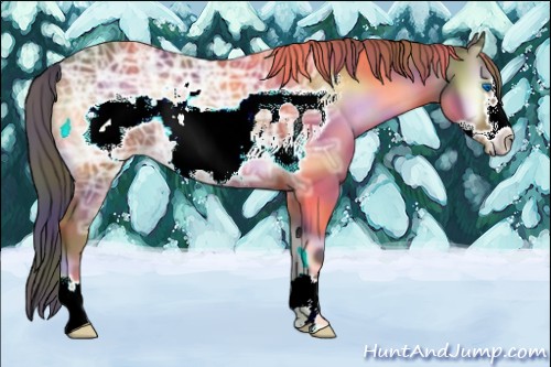 Horse Color:Nacre Bay Ice Onyx Frame