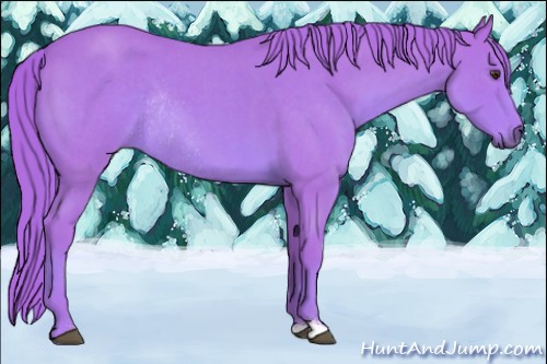 Horse Color:Watercolor Red Roan Rabicano 