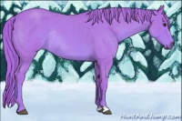 Horse Color:Watercolor Red Roan Rabicano 
