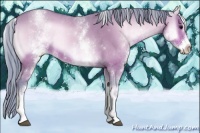 Horse Color:Watercolor White Spotted Bay Roan Onyx Rabicano 