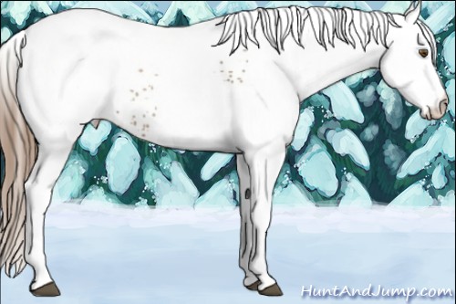 Horse Color:White Spotted Liver Chestnut Pearl 
