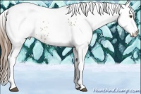 Horse Color:White Spotted Liver Chestnut Pearl