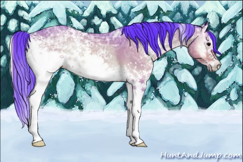 Horse Color:Watercolor White Spotted Bay Ice Roan Onyx Rabicano 