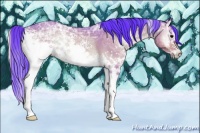 Horse Color:Watercolor White Spotted Bay Ice Roan Onyx Rabicano 