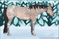 Horse Color:Bay Ice Roan Rabicano 