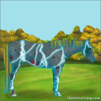 Horse Color:Painted Thunderstruck Bay