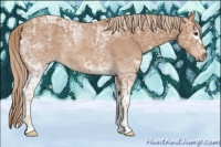 Horse Color:White Spotted Chestnut Ice Rabicano 