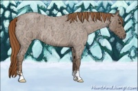 Horse Color:Red Ice Roan 