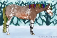 Horse Color:Painted White Spotted Bay Ice Splash