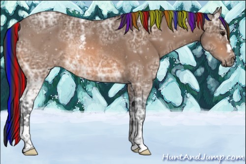 Horse Color:Painted White Spotted Bay Ice Rabicano 