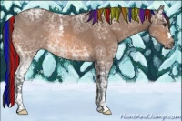 Horse Color:Painted White Spotted Bay Ice Rabicano 
