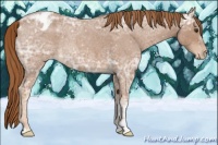 Horse Color:Red Ice Roan Varnish Rabicano 