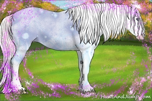 Horse Color:Silver Smoky Black Pearl Splash Appaloosa 