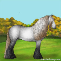 Horse Color:Gray Liver Chestnut