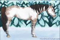 Horse Color:Bay Ice Frame Appaloosa Rabicano 