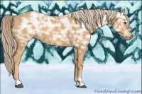 Horse Color:Palomino Ice Sabino
