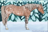Horse Color:Silver Bay Ice Varnish Rabicano 