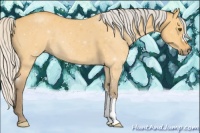 Horse Color:Silver Buckskin Dun 