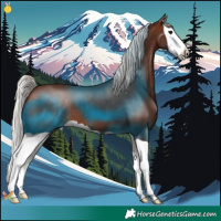 Horse Color:Silver Brown Splash