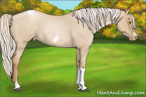 Horse Color:Silver Grullo Roan Pearl Tobiano Frame 